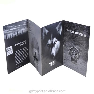 China paper & Professional Cardboard Custom Printing Three Fold Brochure Booklet for sale