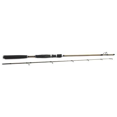 China Premium Carbon Guaranteed Carbon Fishing Rod Spinning Fishing Rod Tools for sale