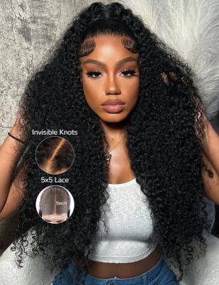 China Kinky Curly Bye Bye Knots Wig 5x5 Pre Cut Bleached Knots Wig Lace Closure Wig for sale