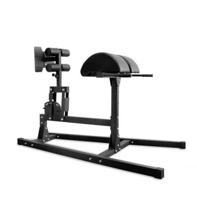 China Factory Directly Sale Eco-Friendly Fitness Glute Ham Developer Gym Equipment Bench for sale