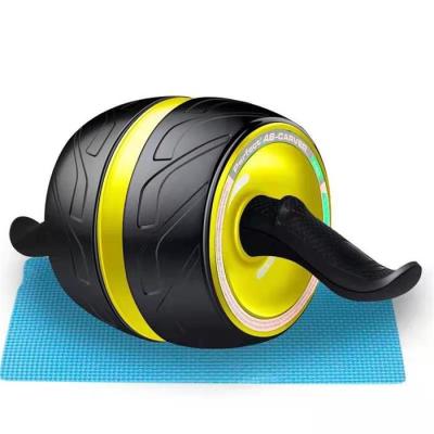 China Outdoor Eco-friendly Commercial Gym Sporting Goods Power Gym Wheel For Strength Training/Fitness Roller Gym Exercise Belly Power Wheel for sale