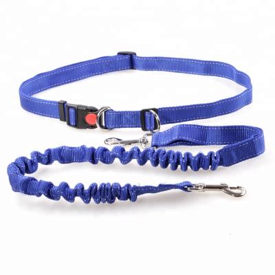 China Sustainable Dog Rope Pet Products Nylon Running Pet Traction Rope for sale