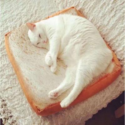 China Durable Warm Comfortable Soft Toast Shape Soft Dog Cat Mat Pet Cushion for sale