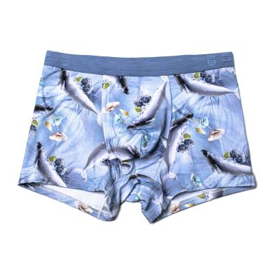 China Antibacterial In Stock High Quality Boxer Briefs Men's Briefs Boxers for sale