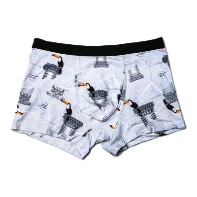 China Antibacterial In Stock High Quality Boxer Briefs Men's Briefs Boxers for sale