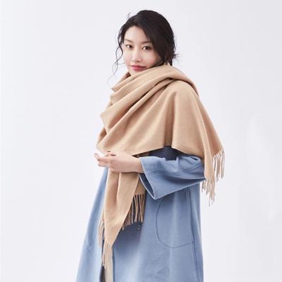 China Factory Price Sweet Soft Feeling Custom Your Logo Winter Cashmere Scarfs For Women Elegant for sale