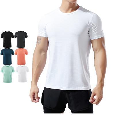 China 2022 designer Anti-wrinkle Round Neck Short-Sleeved plus size fitness shirts for sale