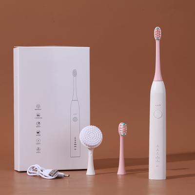 China High quality and new design battery operated electric toothbrush for sale