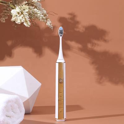 China New Ultrasonic Electric Toothbrush Battery Operated ipx7 5 Modes for sale