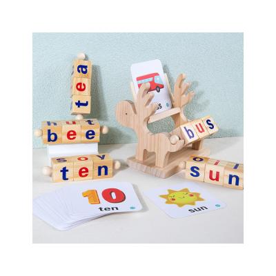 China Children Learning China Manufacture Profession English Words Learning Toys Grasping Puzzles For Kids for sale