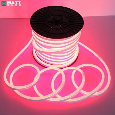 China Hotel Led Light Strip Multicolor Led Neon Flex for sale