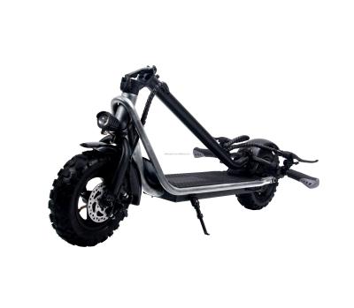 China Electric scooter 1000w 500w 350w men fat motor double tire electric scooter for sale