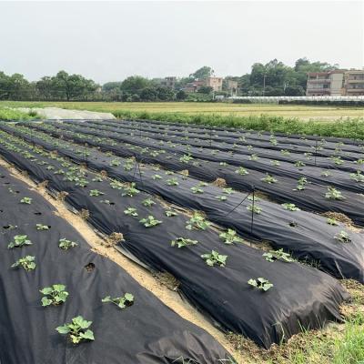 China Anti-pull Pp/Polypropylene Spunbond Non Woven Agriculture Non Woven Fabric For Vegetable Greenhouse,PP Nonwoven Fabric For Weed Control for sale