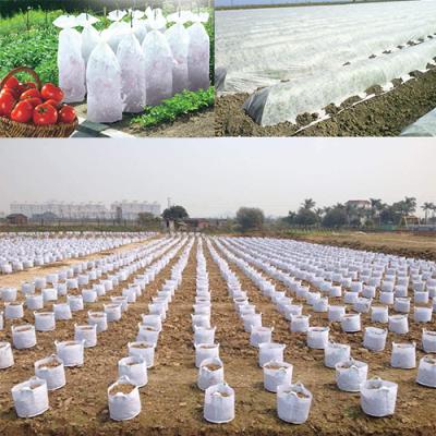 China China Supplier Environmental Protection Plant Breathable Seedling Nursery Bags Planter Bags For Garden for sale