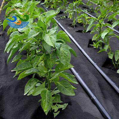 China 80gsm Anti-bacteria Black Color PP Spunbond Fabric Nonwoven Weed Mats Plastic Ground Cover In Agricultural Product for sale