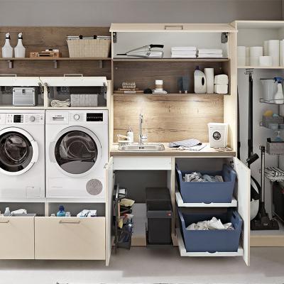 China Modern Customized Functional Cabinet For Laundry And Bathroom Furniture for sale