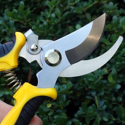 China Garden Bypass Trimming Balancing Plants Bonsai Assets Using Garden Scissors Best Selling Pruning Garden Shears for sale