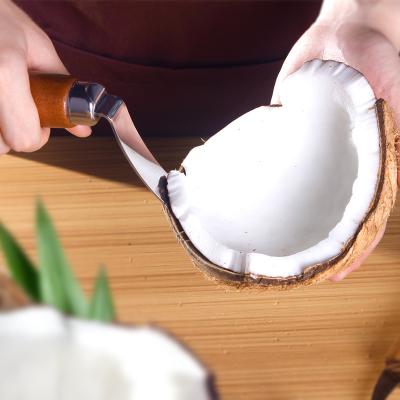 China OTOware Sustainable Coconut Opener Kitchen Knife Stainless Steel Coconut Kitchen Knife (yz01) for sale