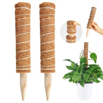 China 70cm Moss Pole Biodegradable Indoor Coconut Shell Pole Supports Plants To Grow Up. Use the plant support posts individually or together for sale