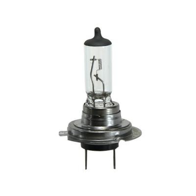 China High Quality PVC Hot Sales Auto Bulb H7 12V 55W Halogen Lamp for sale