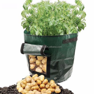 China Economic Garden Strawberry Potato Grow Plant Bag for sale