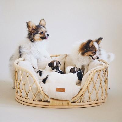 China Breathable Wholesale Handmade Wicker Woven  Large Natural Rattan Cat Dog Sofa Bed for sale