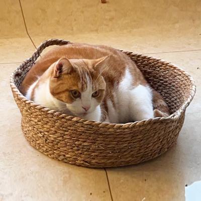 China Sustainable Most Popular Outside Wicker Woven Cat Bed Baskets Seagrass  Rattan Cat Pet Products for sale