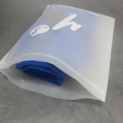 China Moisture-proof Eco-Friendly Accessories Plastic Zipper Pouch Bag For Self Clothing Package Frosted Adhensive Plastic Bag for sale