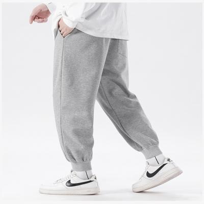 China Anti-Wrinkle Casual Men Plus Size Sweatpants Men's Pile Cargo Breeches Sweatpants Workout Fitness Sweatpants for sale