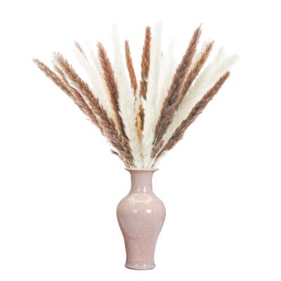 China Europe Amazon Boho Pampas Grass Decor Arreglos Florales Hot Natural Natural Dry Pampas Grass Real Small For Home Office Decoration for sale