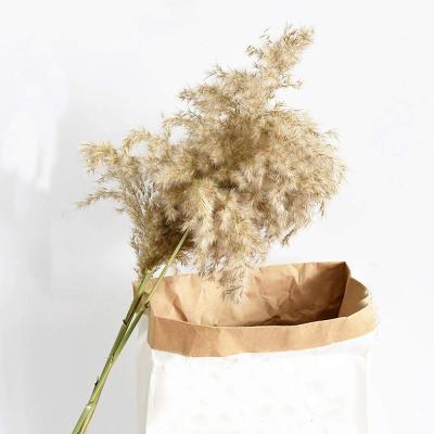 China Large Natural Large Decorative Flower and Garland Boho Phragmites Popular Large Flower Wholesale Europe Dry Thatched Pampas Grass for sale