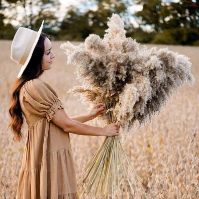 China Dried Pampas Grass Fluffy Pampas Grass Boho Decor Pompas For Flower Arrangements Home Decor Wedding Dried Pampas Grass Decorative for sale