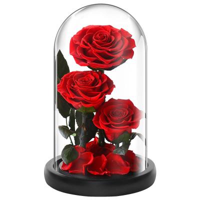 China Open Gift Valentine Gift Real Natural Everlasting Flower Decoration Immortal Flower A Grade Preserved Roses for sale