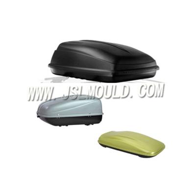 China Plastic Injection Car Roof Carrier Luggage Box Mold for sale