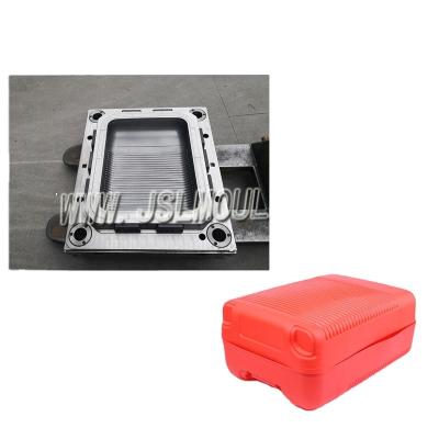 China Plastic injection plastic luggage box mold for sale