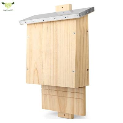 China Bat chamber and nest windproof bats for sale