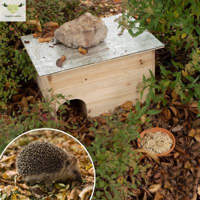 China Windproof Waterproof Hedgehog House Hedgehog Hut Building Kit Roof Hedgehog Hotel For Garden for sale