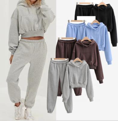 China Anti-Wrinkle Logo Women Causal Custom Made Anti-Wrinkle 2 Two Piece Oversized Apparel Crop Hoodies And Joggers Sets For Ladies for sale