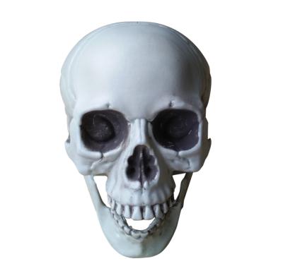 Κίνα Realistic Fake Halloween Plastic Skull Size Skull Decoration Skull Model προς πώληση