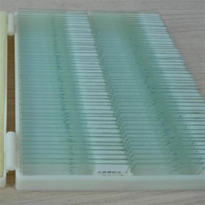 Cina Oral Microscope Accessories Biology And Pathology Microscope Slide For Dental Students in vendita