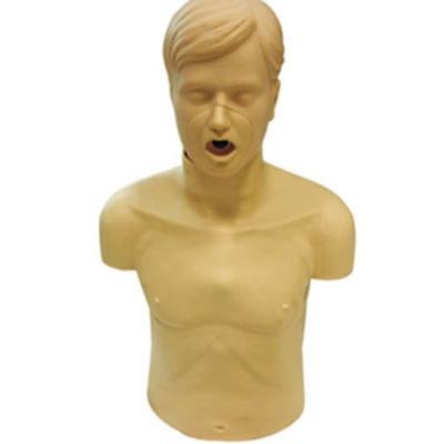 China Durable Adult Airway Infarction Medical Human Anatomy and CPR Model for sale