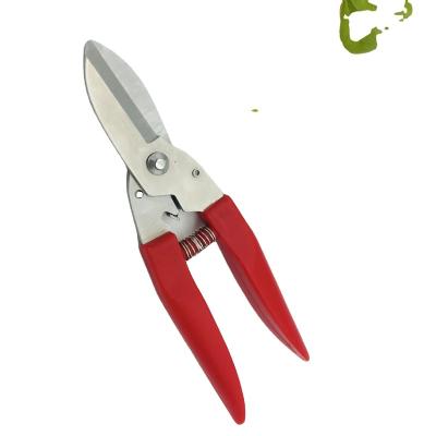 China Universal Cutting Garden Scissors Stainless Steel Orchard Scissors for sale