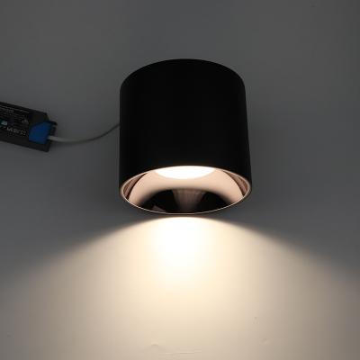 China Industrial Promotions Wifi COB Remote Super Bright Ceiling Ip54 12W Anti-glare Outdoor Mounted Aluminum Cylinder Down Light for sale