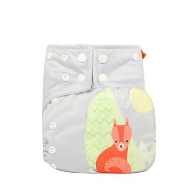 China Happyflute Modern Digital position print cloth diaper washable pocket diaper with Microfiber insert for sale