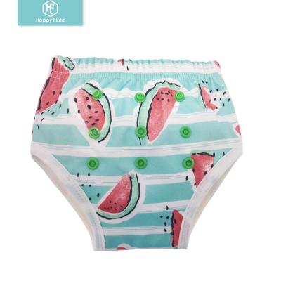 China Happyflute Reusable cloth diaper Potty Training Pants washable bamboo AIO training pants for sale