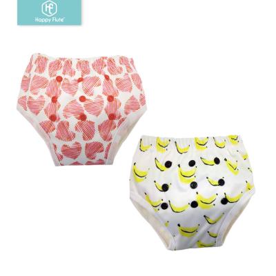 China Happyflute Wholesale potty training pants Washable toddle bamboo AIO training pants for sale