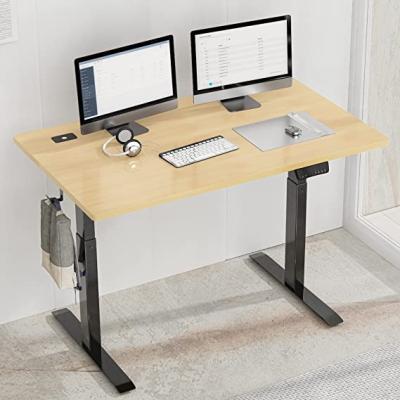 China Hot Selling Height Adjustable International Electric Workstation Desk Standing Desks(Height) for sale