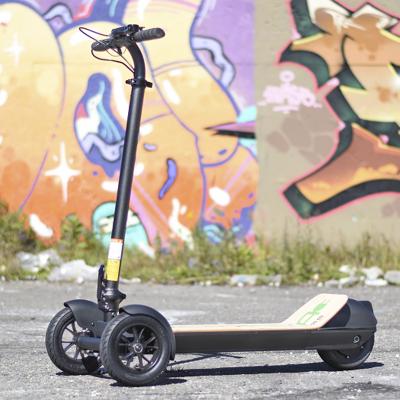 China Wholesale Customizable Password Security Chinese Products 8.0 Oh Three Wheel Foldable Adult Electric Scooters for sale