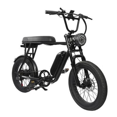 China Country 20inch Mountain Fat Belt High Speed ​​Adult Fat Tire Belt Riding 500W Electric Seat Bike for sale