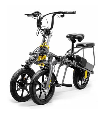 China ESWING Aluminum Alloy Electric Scooter Frame Electric Scooter Israel Electric Scooter 3 Wheel for sale